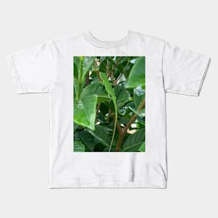 Green anole Kids T-Shirt